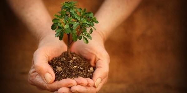 ▲ 국민이 압도적으로 지지하는 한의사 현대의료기기 사용에 관하여 의사협회를 비롯한 양의사단체는 적대적 태도를 거두고, 우리나라의 이원화된 면허체계 속에서 국민과 의료인이 상생할 수 있는 길을 찾아야할 것이다.