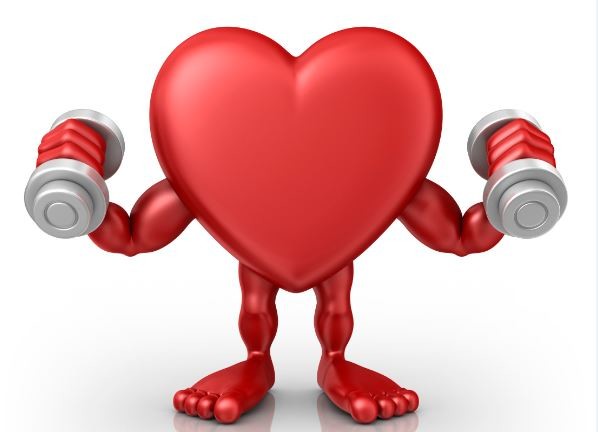 ▲ 근육량을 늘리면 체온을 올리는데 도움이 된다. 체내에 근육이 얼마만큼 있느냐가 체온 상승에서 매우 중요한 요인으로 작용된다.