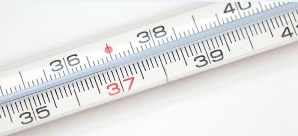 ▲ 우리의 체온은 섭씨 36.5도에서 1도만 떨어져도 우리 몸의 면역력은 30프로나 낮아지고, 반대로 정상 체온에서 1도만 올라가도 열성질병이나 염증성 질병을 앓게 된다.