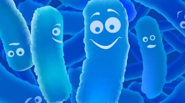 ▲ 프로바이오틱스는 장 건강을 유지시키는 면역사령탑을 보호하는 역할을 한다. 유산균에 가장 많이 들어 있다.