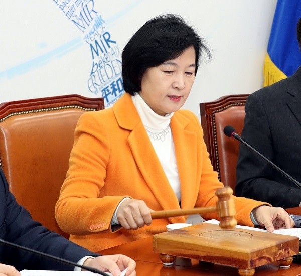 추미애 더불어민주당 대표. (사진=newsis)