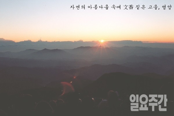 (사진=이재윤 기자)