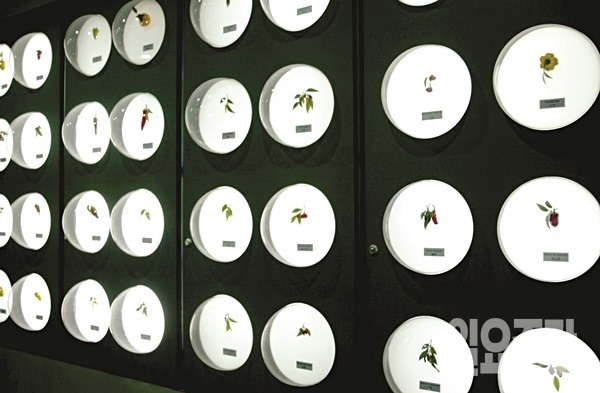 고추박물관 (사진=이재윤 기자)