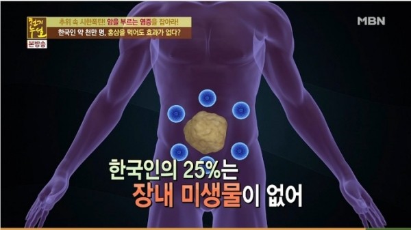 ▲ 여러 당분자로 결합되어 있는 자연 상태의 사포닌이 장내 미생물의 분해효소에 의하여 당분자 하나만 결합된 Compound K로 전환되어야만 체내 흡수가 제대로 이루어지고 생리활성 효능도 얻을 수 있다.