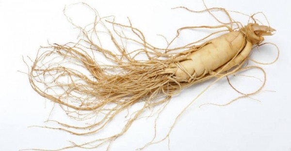 ▲ 홍삼(인삼)은 자양, 강장, 진정작용 등 만병통치 불로장수로 알려져 있다.