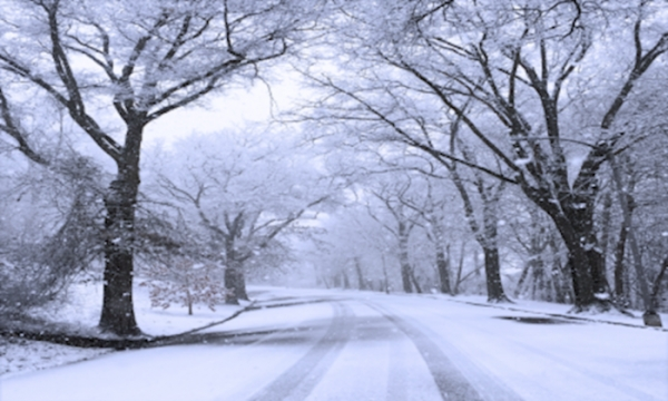 ▲ 혹한의 겨울 끝에는 반드시 새 봄이 찾아오듯이, 현실의 아픔과 시련 뒤에는 다시금 평안과 안정의 내일이 찾아줄 것이다.