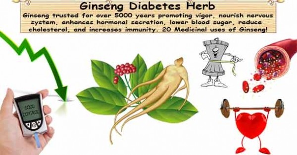 ▲ 인삼의 당뇨에 대한 효과를 검정하기 위한 모두 16건에 달하는 임상시험에서 30일 이상 인삼을 복용한 환자들은 현저하게 공복시 혈당이 낮아진 것으로 나타났다.