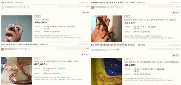 (자료=이정미 의원실)