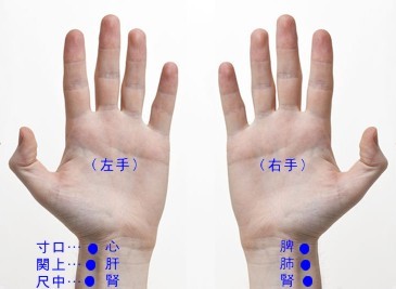 ▲ 환자를 진단하고 치료하는 과정에서 맥(脈)이 빠진다면 앙꼬없는 찐빵과 다름이 없다.