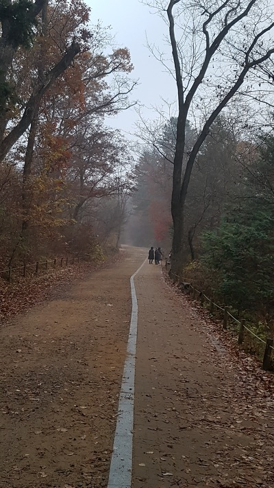 ▲  이 가을을 버려두지 말고 너무 늦지 않게 가을 속으로 들어 와 달라고 하는 손짓이다.